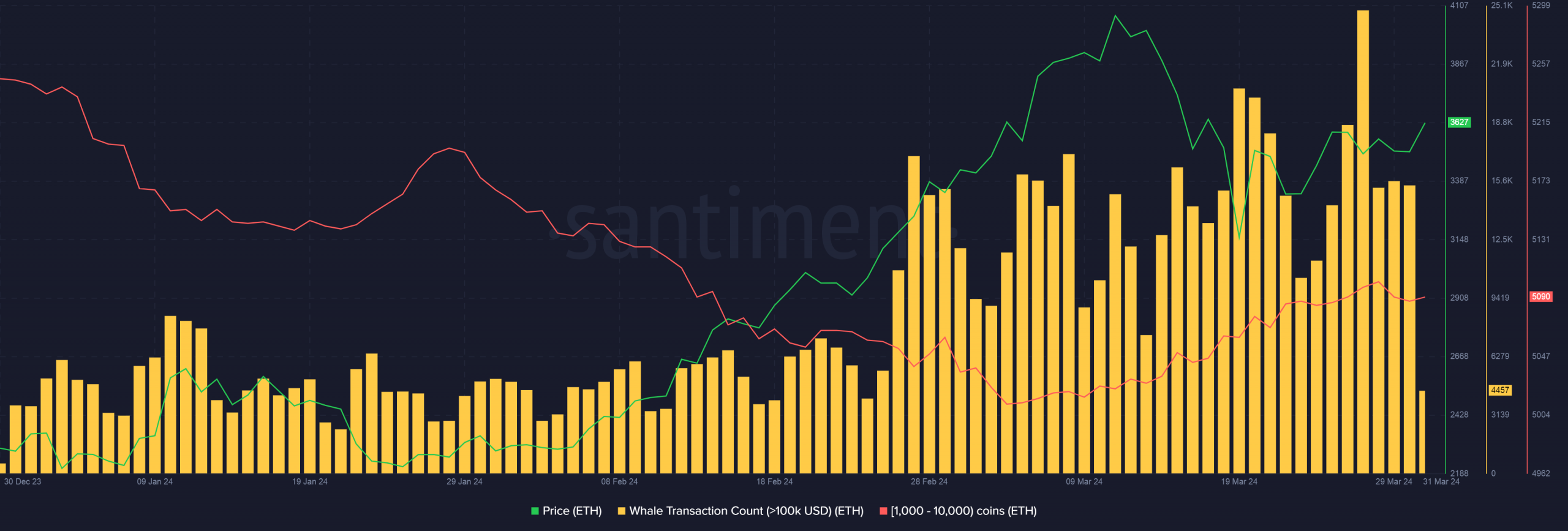 Ethereum whale transactions