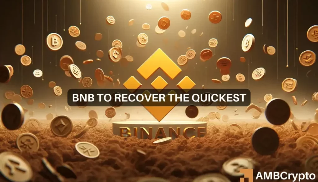 BNB ‘beats’ the market crash – Here’s what you should know