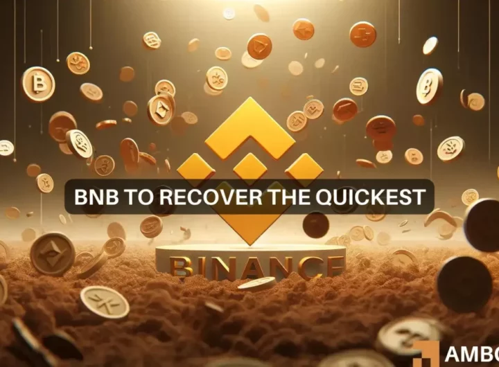 BNB ‘beats’ the market crash – Here’s what you should know