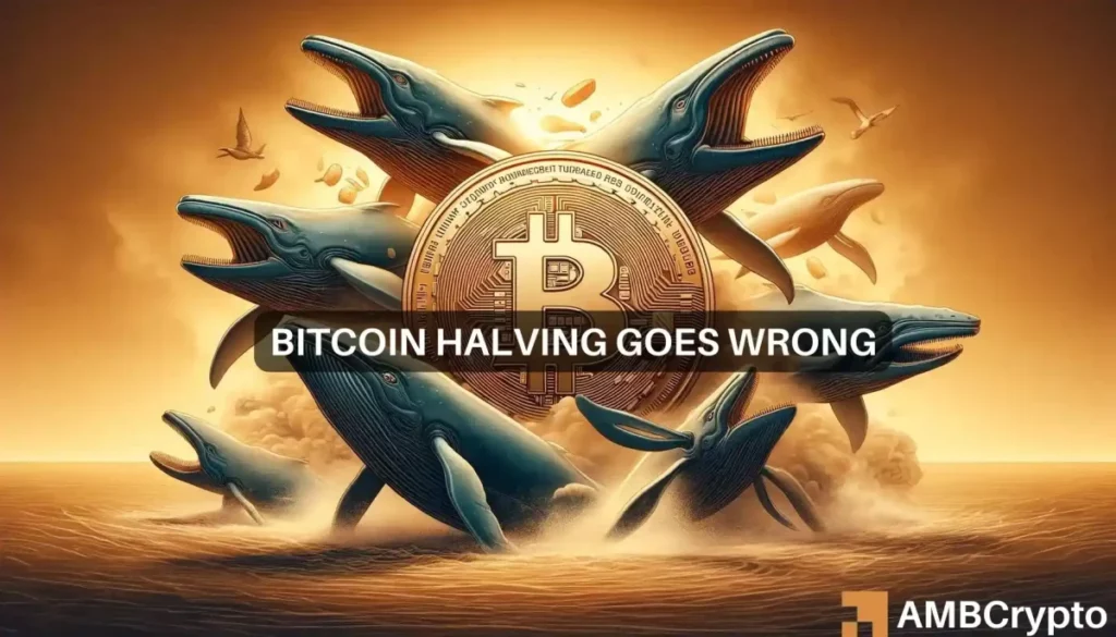 Bitcoin’s post-halving price drop reveals THIS about whale behaviour