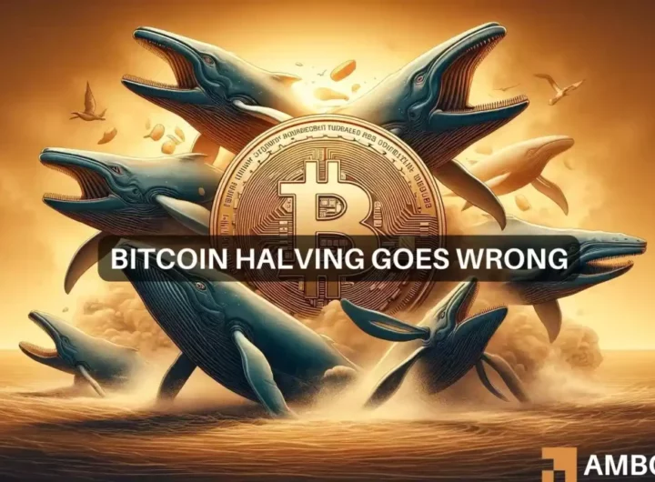 Bitcoin’s post-halving price drop reveals THIS about whale behaviour