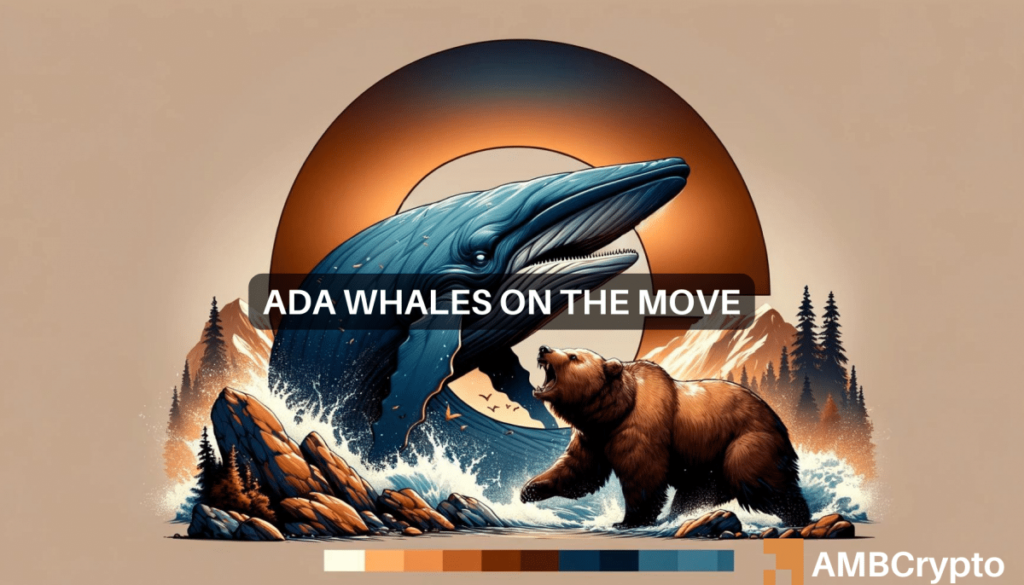 Cardano whales hoard B ADA daily amid 30% dip – A bull rally ahead?