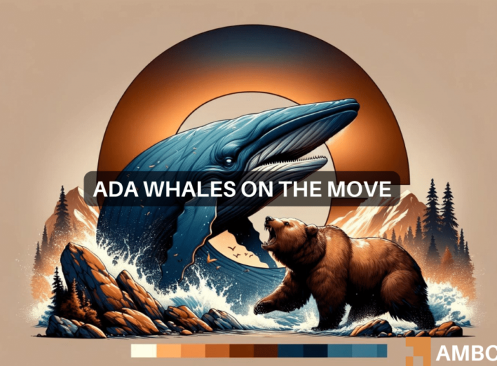 Cardano whales hoard B ADA daily amid 30% dip – A bull rally ahead?