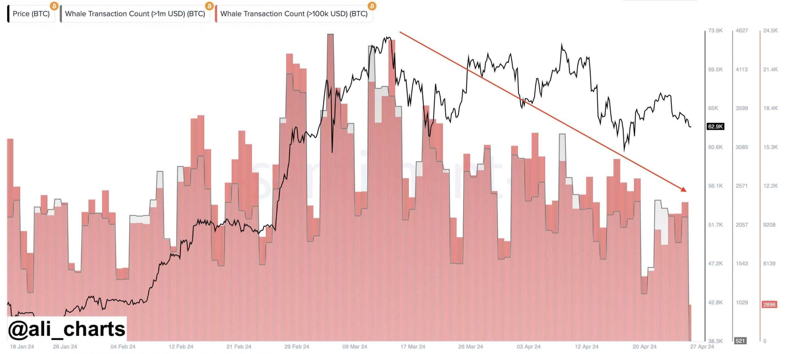 BTC Whale Activity