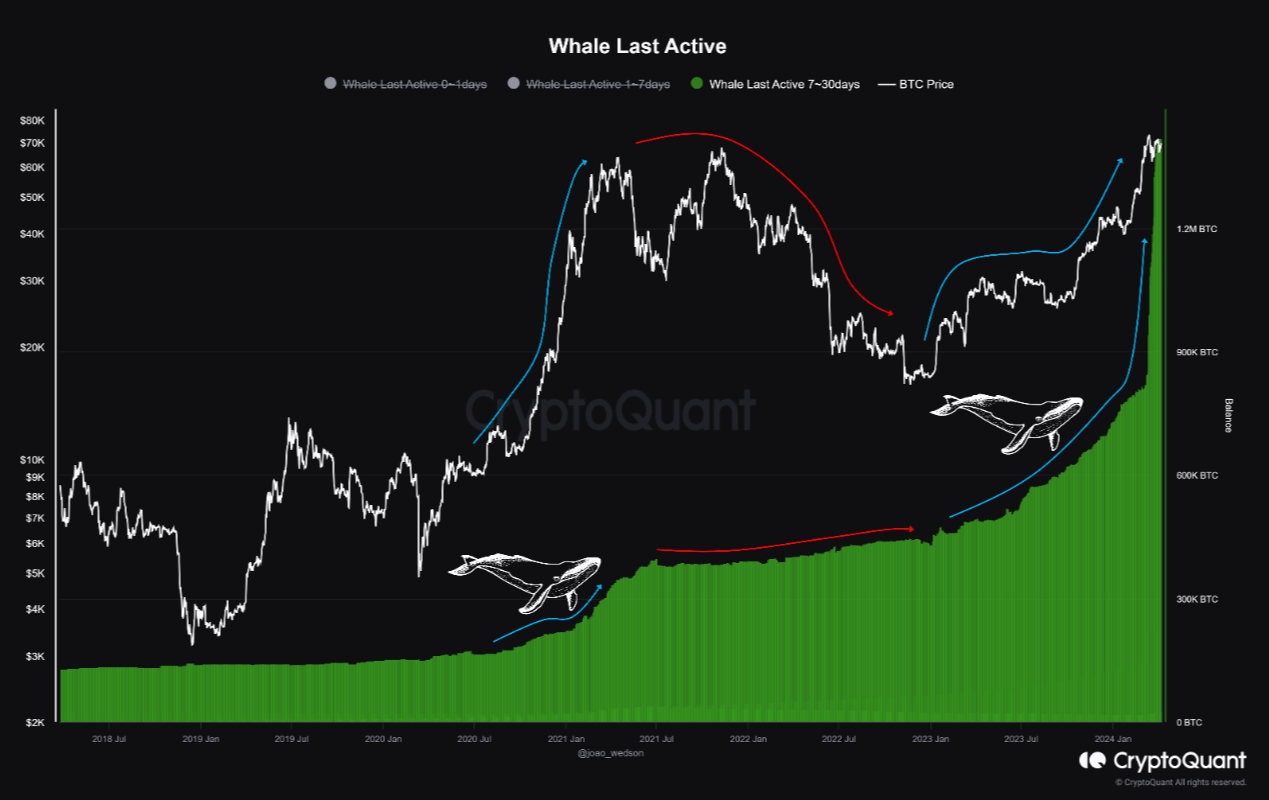 BTC Whale Activity