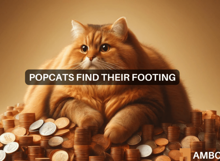 POPCAT – Time to sell after 205% surge in 7 days?