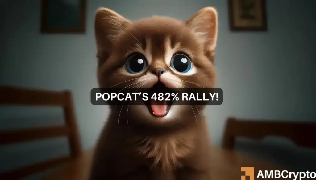 Solana-based POPCAT price prediction: After 482% boom, is alt=