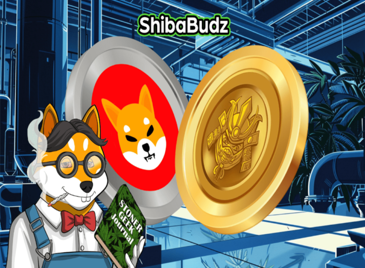 SHIB Mania with Shiba Inu & Shiba Budz, how to turn 0 to ,500 in SHIB?