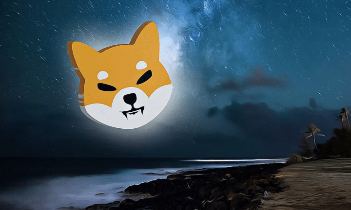 Top Cryptocurrency Analyst Buys Shiba Inu (SHIB) & Shiba Budz For 2024 Bull Run