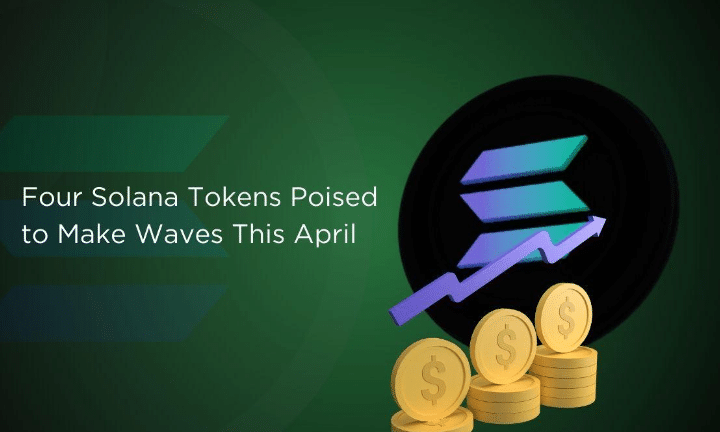 Donk Meme becomes a favorite meme coin in the Solana ecosystem