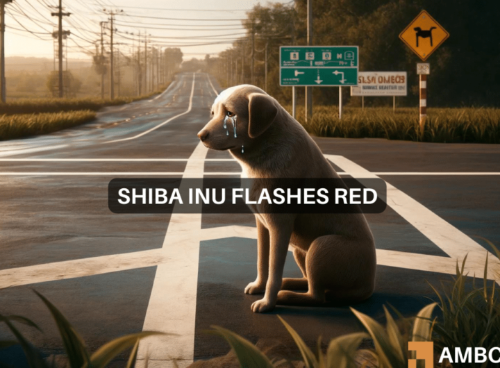 Shiba Inu: Key indicator shows concerning signs, what now?