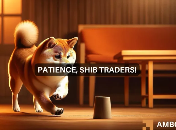 Shiba Inu price prediction – Two reasons why SHIB investors are willing to hold