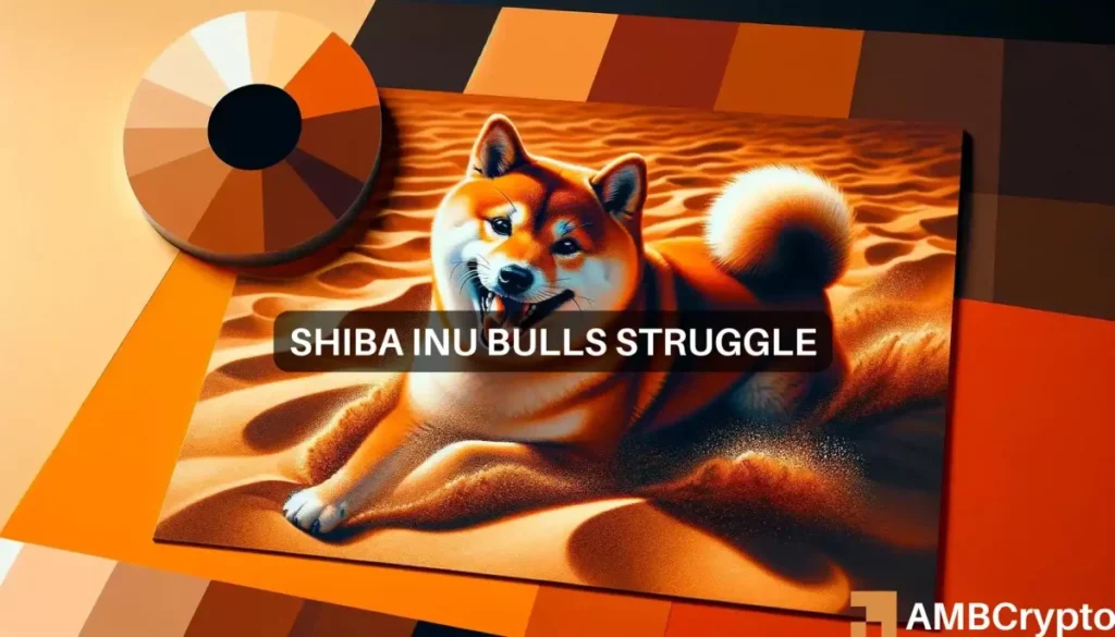 How Bitcoin impacted Shiba Inu’s price, and what you can do about it