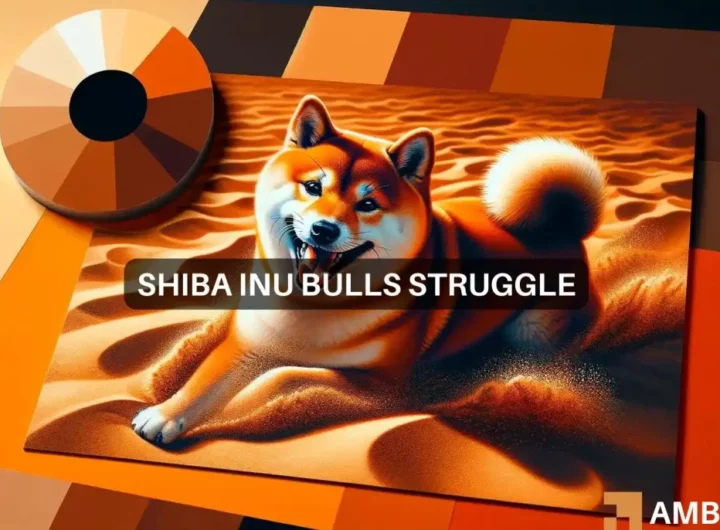 How Bitcoin impacted Shiba Inu’s price, and what you can do about it