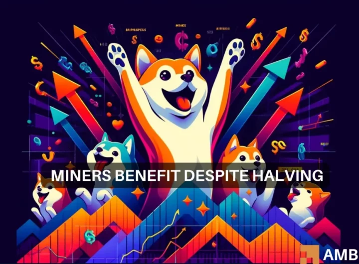 Shiba Inu surges 18% in 24 hours: Did the Bitcoin halving help SHIB rally?