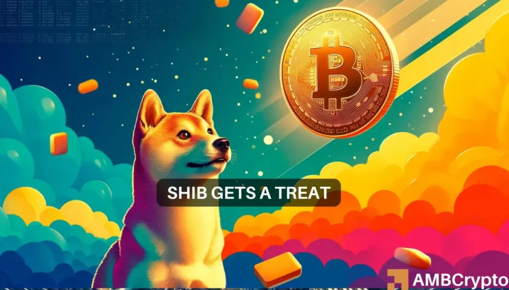 Shiba Inu’s M bet: Here’s what it means for SHIB holders like you