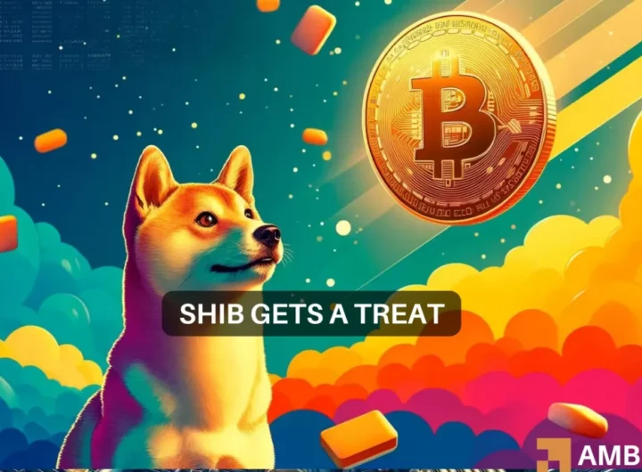 Shiba Inu’s M bet: Here’s what it means for SHIB holders like you