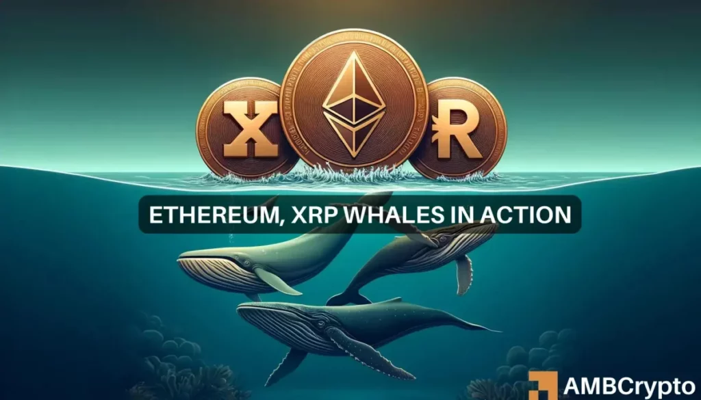 As Ethereum and XRP collapse, whales start to buy: Sign of a bull run?