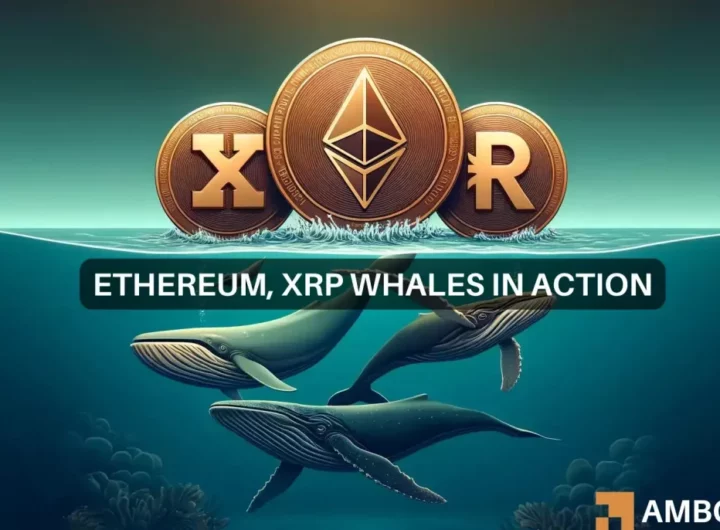 As Ethereum and XRP collapse, whales start to buy: Sign of a bull run?