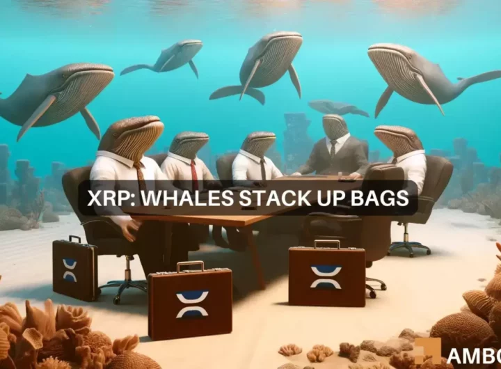 XRP whales stock up on 600M tokens – Here’s what you should do!