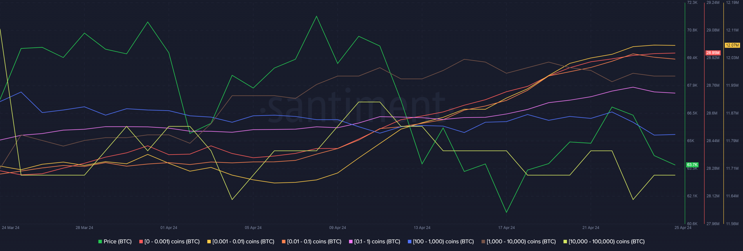 Bitcoin supply distribution