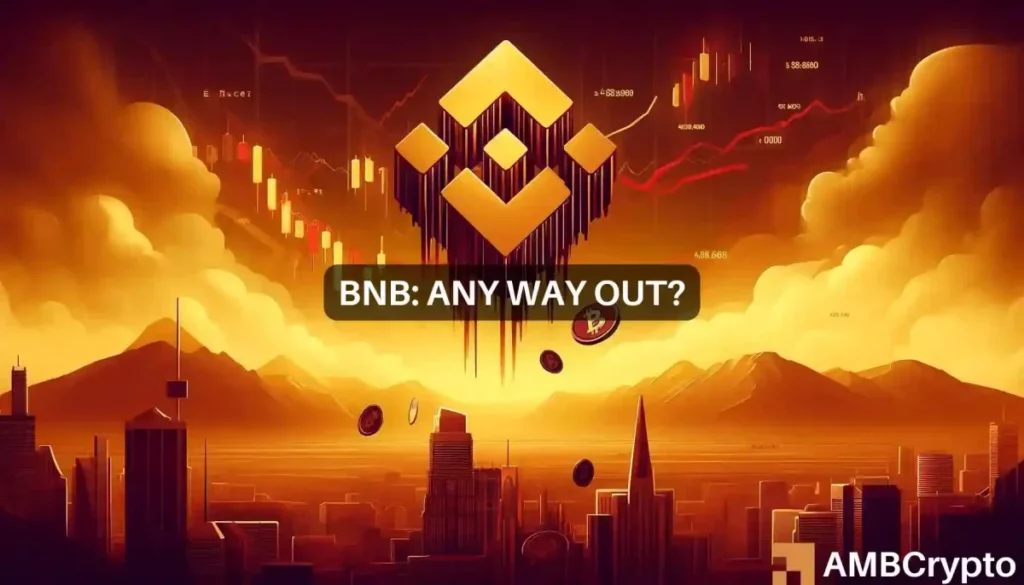 BNB Chain’s revenue takes major hit: Examining the root cause