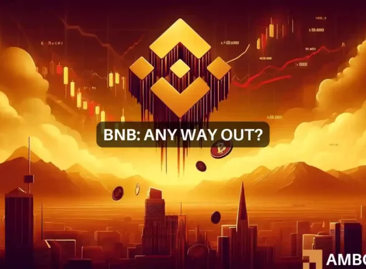 BNB Chain’s revenue takes major hit: Examining the root cause