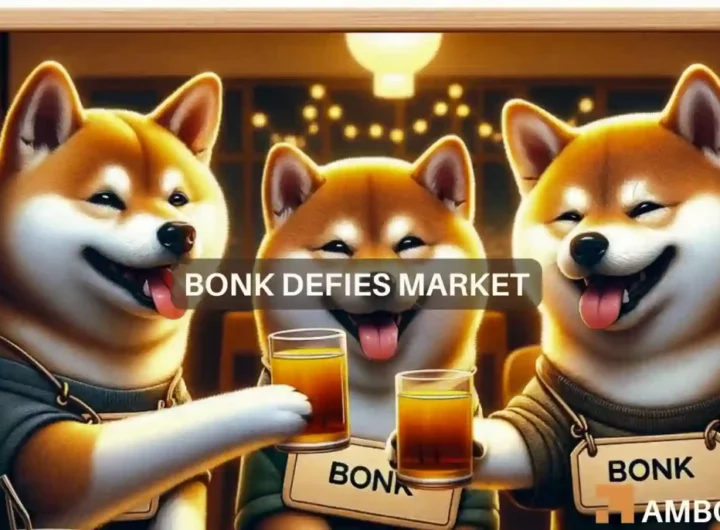 BONK’s price rally – Explaining its 83% pump over the week