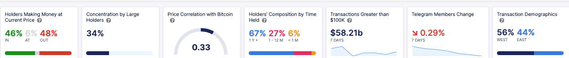 on-chain data showing Cardano holders composition