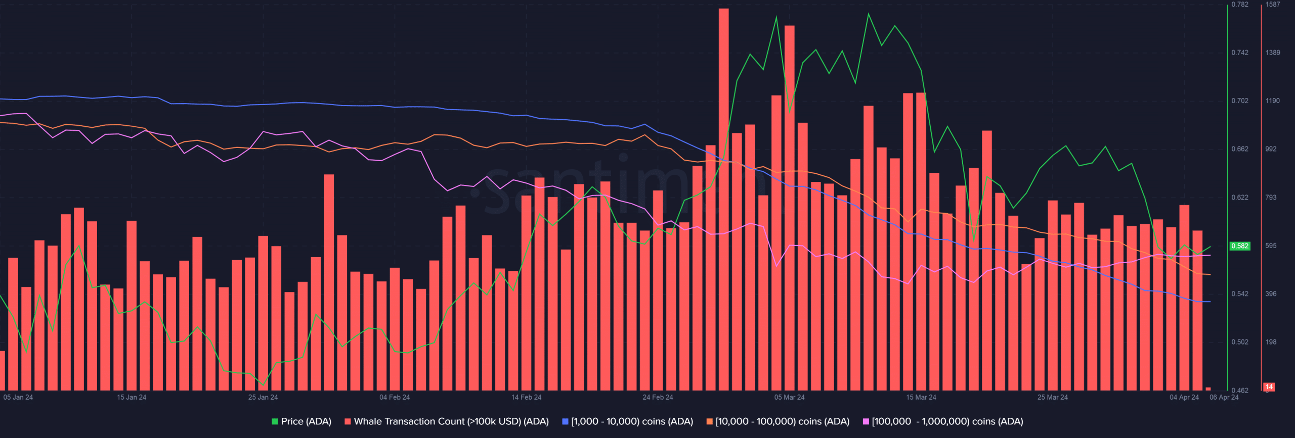 Cardano whale activity