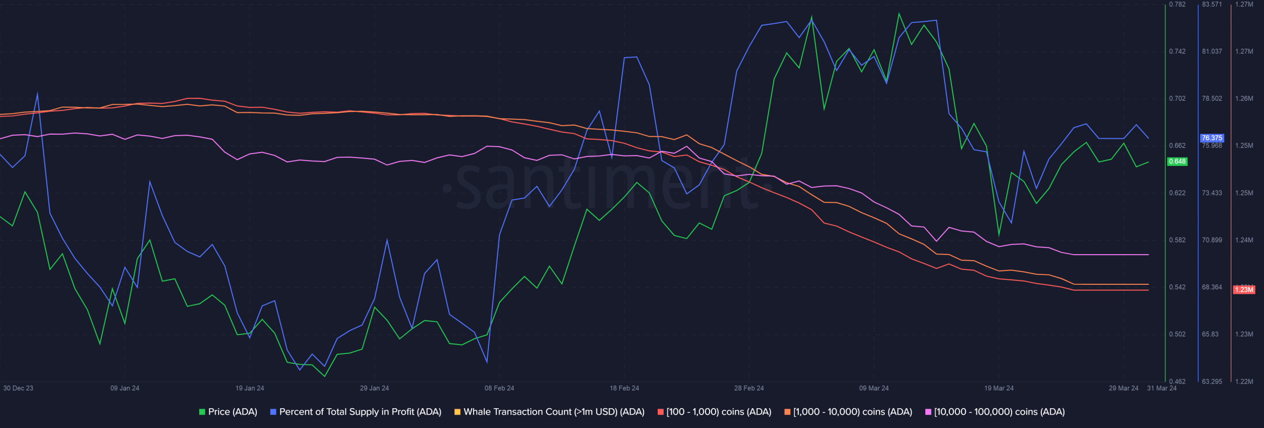 Cardano whale interest drops