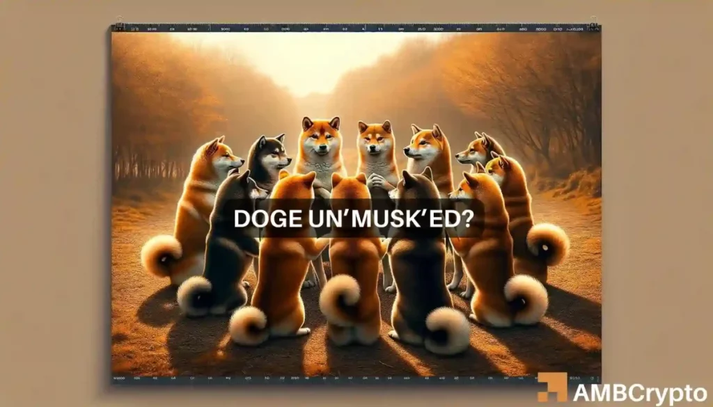 Dogecoin – ‘Not Elon Musk’ buys DOGE worth M leaving many asking…