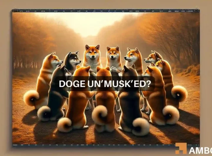 Dogecoin – ‘Not Elon Musk’ buys DOGE worth M leaving many asking…