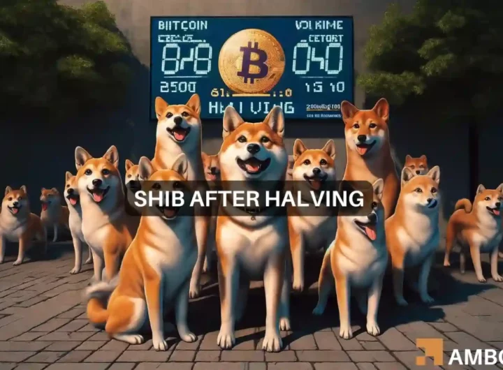 Shiba Inu coin’s price – Bitcoin halving’s impact on this altcoin will be…