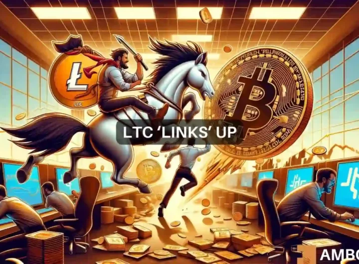 Bitcoin halving aftermath: LTC, LINK emerge as investor favorites