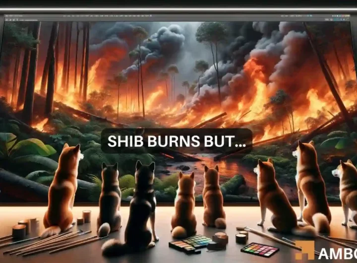 Shiba Inu burns 798M tokens – Is this next for SHIB’s price now?