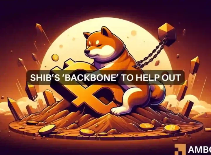 Shiba Inu’s 10% plunge vs Shibarium’s surge: How will this play out?