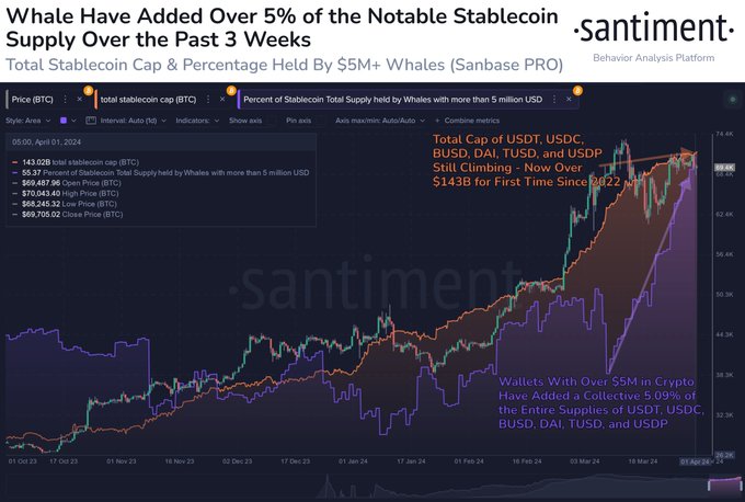 Whales' stablecoin holdings