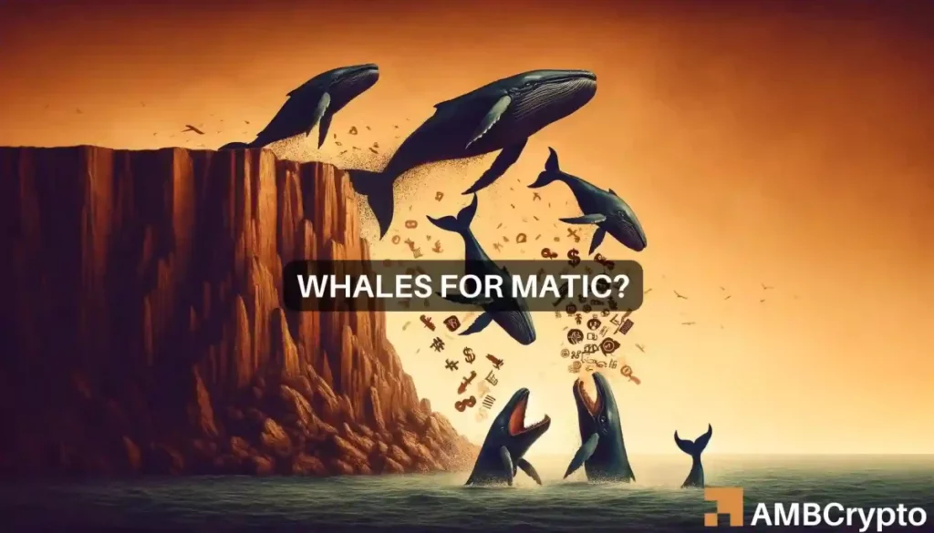 Whales bet on MATIC’s rise to , should you do the same?