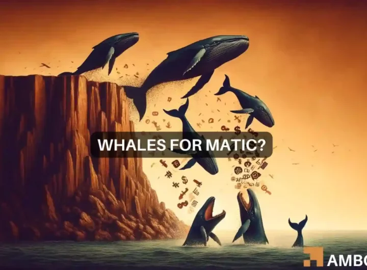 Whales bet on MATIC’s rise to , should you do the same?