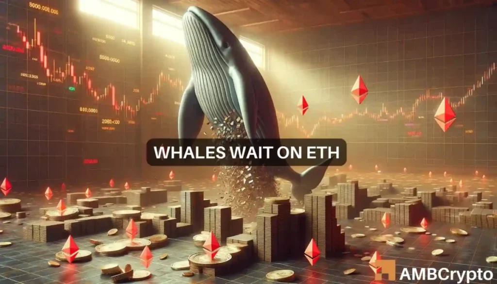 Is Ethereum whale’s 8 million ETH purchase HODLing advice for you?