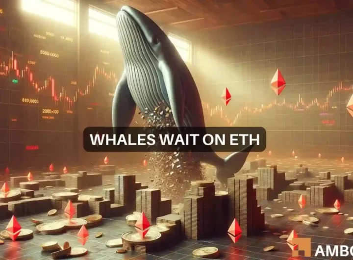 Is Ethereum whale’s 8 million ETH purchase HODLing advice for you?