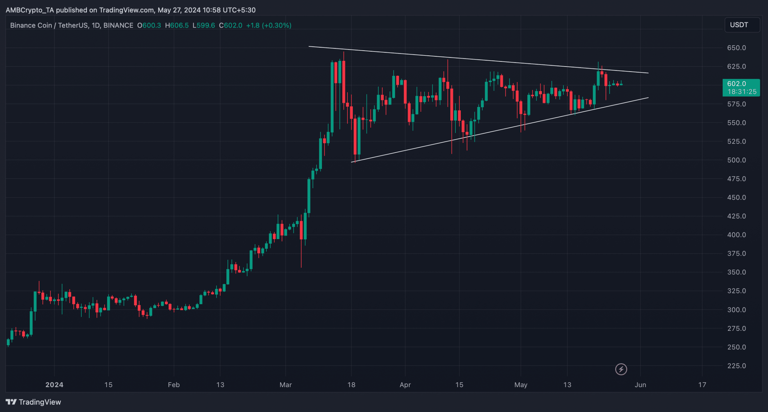 Bullish pennant pattern on BNBs chart