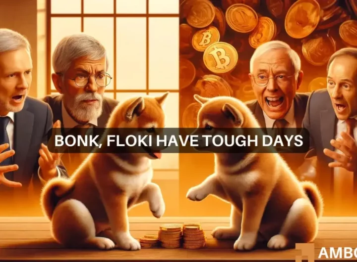 FLOKI, BONK’s volatile week: Will the bear runs continue?