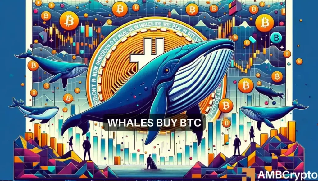 Bitcoin price’s hike to ,000 – Whales had THIS role to play here