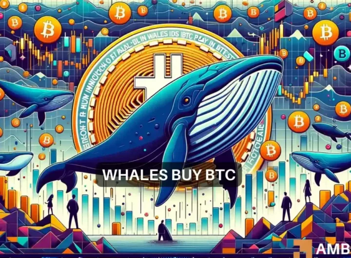 Bitcoin price’s hike to ,000 – Whales had THIS role to play here