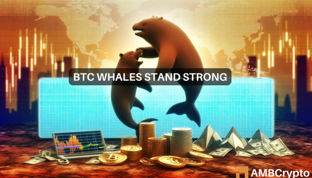 Diving into Bitcoin whale activity: 15K BTC snapped up in 2 days