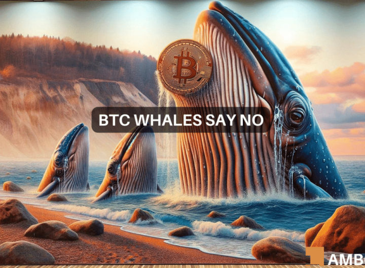 Whale Watch – Here’s what Bitcoin’s big players are doing this week