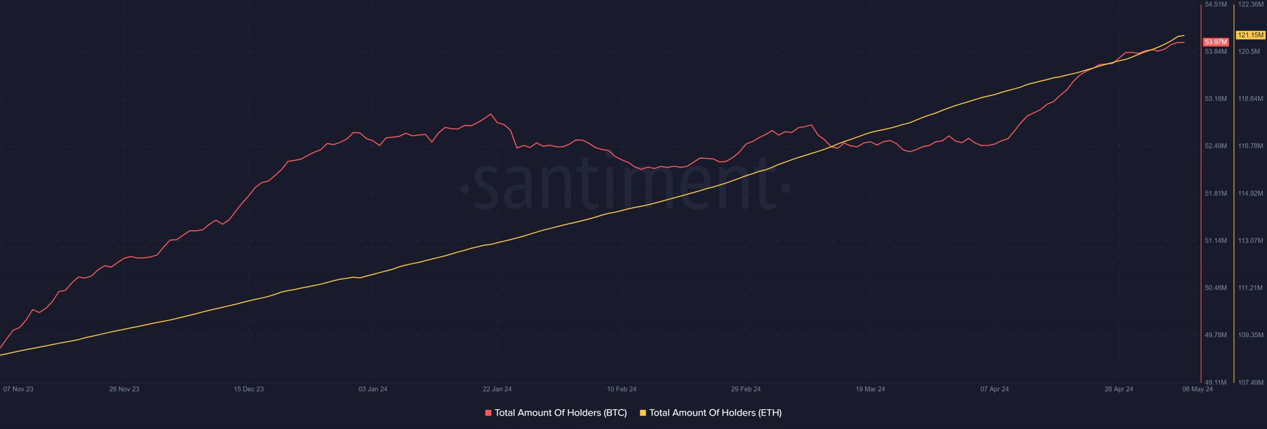 Bitcoin and Ethereum number of holders