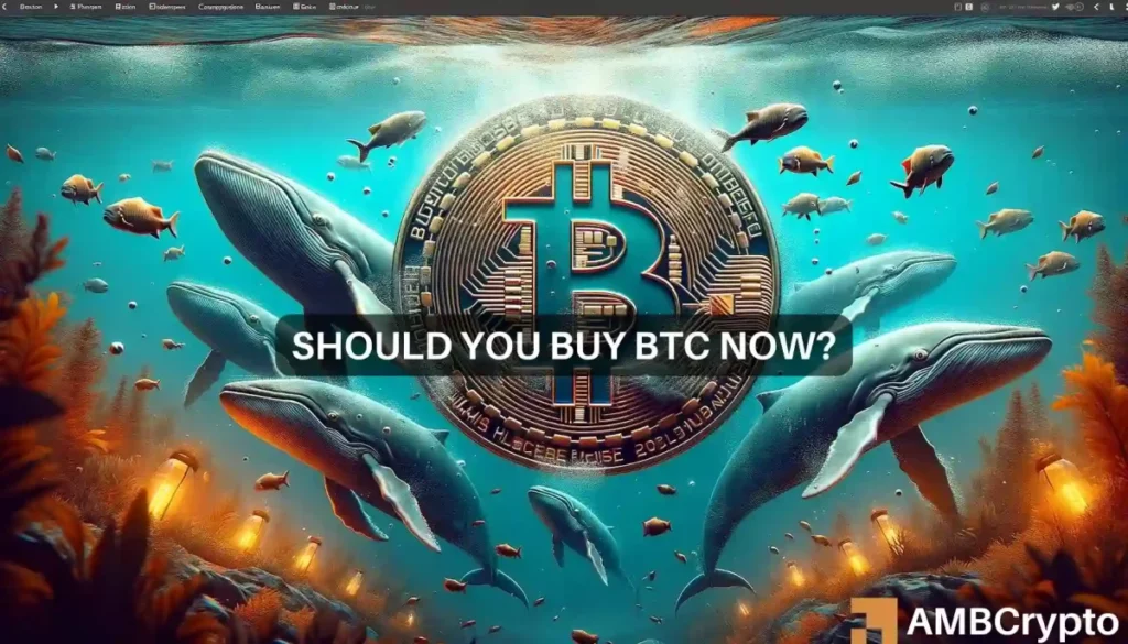 Bitcoin whales’ buying frenzy – What it means for you and your holdings